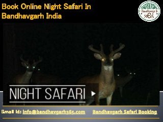 Book Online Night Safari In Bandhavgarh India