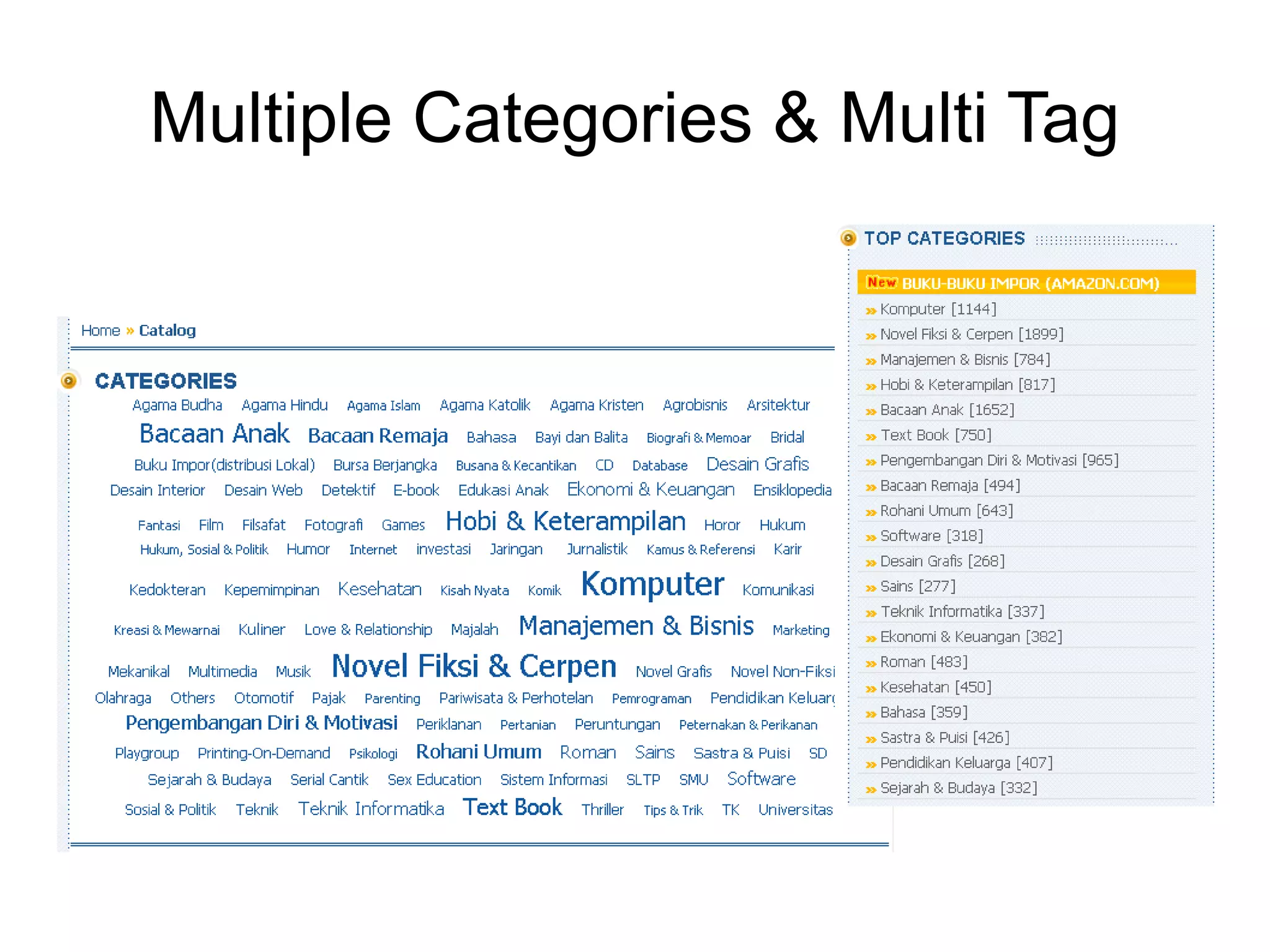 Multiple Categories & Multi Tag 