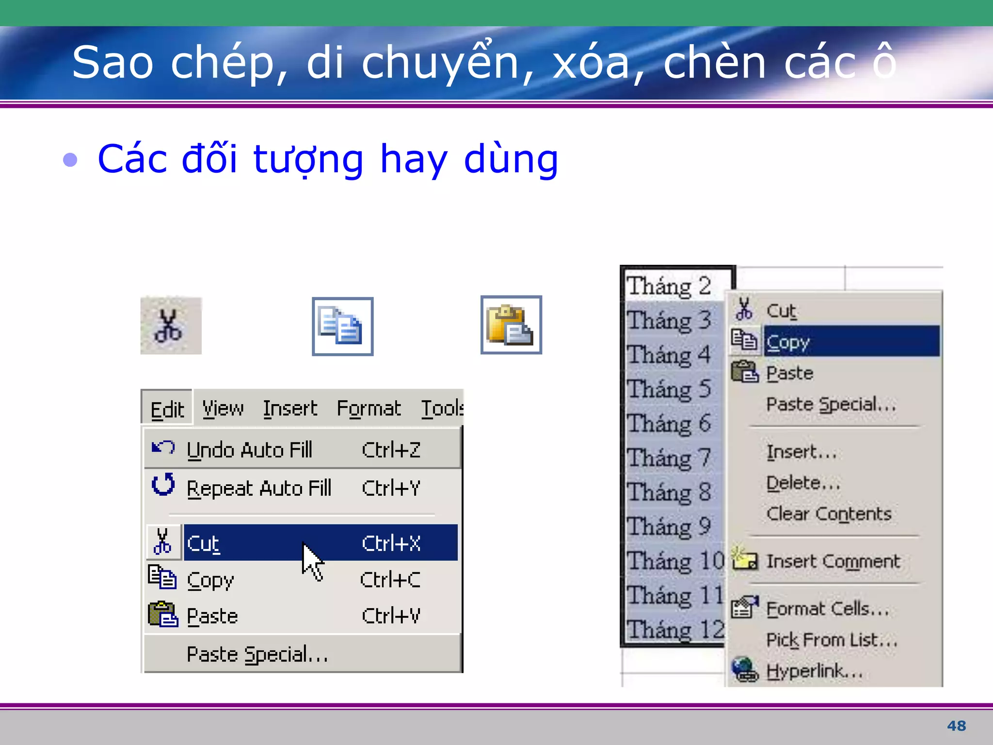 48
• Các đối tượng hay dùng
Sao chép, di chuyển, xóa, chèn các ô
 