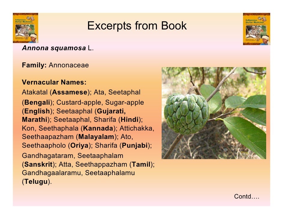 Indigenous Herbal Medicines Tribal Formulations and Traditional Herb…