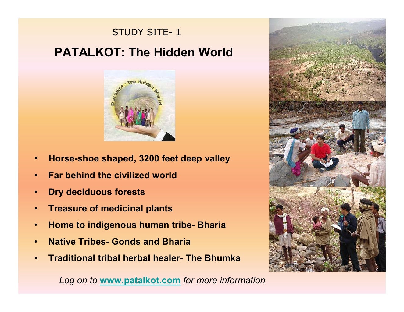 Indigenous Herbal Medicines Tribal Formulations and Traditional Herb…