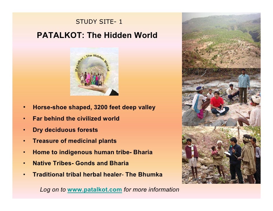 Indigenous Herbal Medicines Tribal Formulations and Traditional Herb…