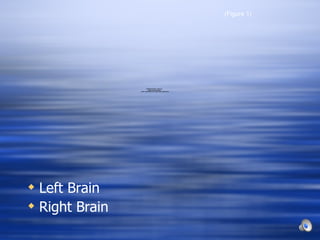 Left Brain Right Brain (Figure 1) 