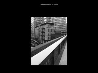 I tried to capture all I could 