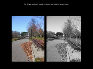 My life was previously so clear, I thought ,and suddenly became gray… 