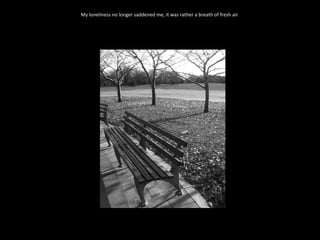 My loneliness no longer saddened me, it was rather a breath of fresh air  