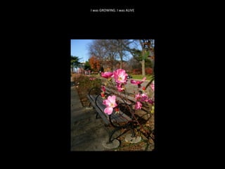 I was GROWING. I was ALIVE 