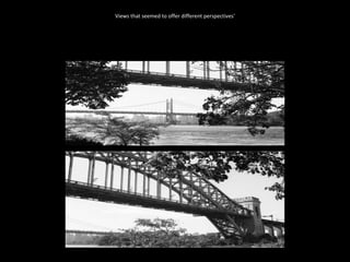 Views that seemed to offer different perspectives' 