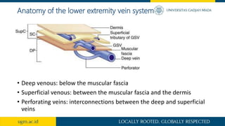 Anatomy of the lower extremity vein system
• Deep venous: below the muscular fascia
• Superficial venous: between the muscular fascia and the dermis
• Perforating veins: interconnections between the deep and superficial
veins
 