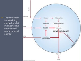  The mechanism
for mobilizing
energy from fat
involves various
enzymes and
neurohormonal
agents
 