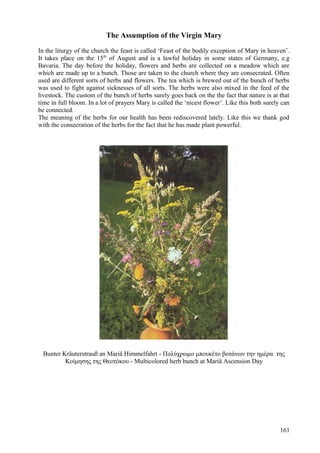 The Assumption of the Virgin Mary 
In the liturgy of the church the feast is called ‘Feast of the bodily exception of Mary in heaven’. 
It takes place on the 15th of August and is a lawful holiday in some states of Germany, e.g 
Bavaria. The day before the holiday, flowers and herbs are collected on a meadow which are 
which are made up to a bunch. Those are taken to the church where they are consecrated. Often 
used are different sorts of herbs and flowers. The tea which is brewed out of the bunch of herbs 
was used to fight against sicknesses of all sorts. The herbs were also mixed in the feed of the 
livestock. The custom of the bunch of herbs surely goes back on the the fact that nature is at that 
time in full bloom. In a lot of prayers Mary is called the ‘nicest flower’. Like this both surely can 
be connected. 
The meaning of the herbs for our health has been rediscovered lately. Like this we thank god 
with the consecration of the herbs for the fact that he has made plant powerful. 
Bunter Kräuterstrauß an Mariä Himmelfahrt - Πολύχρωμο μπουκέτο βοτάνων την ημέρα της 
Κοίμησης της Θεοτόκου - Multicolored herb bunch at Mariä Ascension Day 
161 
 