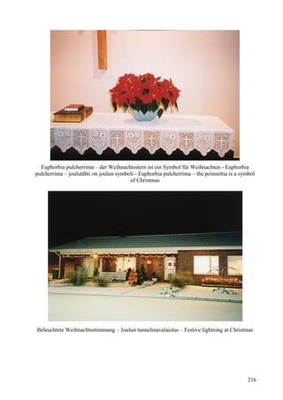 Euphorbia pulcherrima – der Weihnachtsstern ist ein Symbol für Weihnachten - Euphorbia 
pulcherrima – joulutähti on joulun symboli - Euphorbia pulcherrima – the poinsettia is a symbol 
of Christmas 
Beleuchtete Weihnachtsstimmung – Joulun tunnelmavalaistus – Festive lightning at Christmas 
216 
 