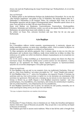 (Jesus), das nach der Prophezeiung des Jesaja Frucht bringt (vgl. Weihnachtslied „Es ist ein Ros 
entsprungen“). 
Sinn und Herkunft: 
St. Barbara gehört zu den beliebtesten Heiligen der (katholischen) Christenheit. Sie ist eine der 
„Drei Heiligen Jungfrauen“ und gehört zu den 14 Nothelfern. Die heilige Barbara lebte im 3. 
Jahrhundert in Nikomedien in der heutigen Türkei. Sie verärgerte ihren Vater, da sie seine 
Heiratspläne ignorierte und der jungen Christengemeinde beitrat. Daraufhin sperrte dieser sie in 
einen Turm und ließ sie im Jahre 306 mit einem Schwert töten. 
Heute wird Barbara von Bergleuten, Feuerwehrleuten, Feuerwerkern, Glockengießern, 
Glöcknern, Schmieden und Artilleristen verehrt, was sich an den eigenen Barbarafeiern bzw. am 
Barbaratanz, der jedoch heute kaum mehr erhalten ist, zeigt. 
Sie schützt vor Feuer, Pest, schweren Gewittern und man bittet bei ihr um eine gute 
Sterbestunde. 
Αγία Βαρβάρα 
Το έθιμο: 
Στις 4.Δεκεμβρίου κόβουνε κλαδιά κερασιάς, αγριοτσαπουρνιάς, ή καστανιάς, σήμερα και 
κλαδιά ιαπωνικής κερασιάς, τα οποία έχουν προσθήκες ανθών. Αυτά τα κλαδιά τα βάζουνε σε 
ένα βάζο και ελπίζουνε να αρχίζουν να ανθίζουν τα Χριστούγεννα. 
Το έθιμο προέρχεται από παλιούς χρησμούς. Οταν ο κόσμος γύριζε τα ζώα του στα τέλη του 
φθινοπώρου από τη βοσκή στους στάβλους, έκοβε τέτοια κλαδιά και τα έβαζε στο βάζο. Και 
ανάλογα με τον αριθμό των ανθών που βγαίνανε, βγάζανε συμπεράσματα για τη γονιμότητα του 
ερχόμενου χρόνου. 
Τον 15./16. αιώνα το έθιμο συνδέθηκε με τα Χριστούγεννα, πράγμα που έδωσε στο έθιμο ένα 
καινούργιο νόημα. Τα ανθισμένα κλαδιά έγιναν η εικόνα εκείνου του νέου βλαστού, ο οποίος, 
σύμφωνα με την προφητεία του Ησαία, φέρνει καρπούς (σύγκρινε το Χριστουγεννιάτικο 
τραγούδι «Es ist ein Ros entsprungen» (“Ενα ρόδο έχει ξεπεταχτεί“). 
Νόημα και προέλευση: 
Η Αγία Βαρβάρα είναι μια από τις πιο αγαπητές Αγίες της (καθολικής) Εκκλησίας. Είναι μια 
από τις „Τρεις Αγίες Παρθένες“ και ανήκει στη ομάδα των 14ων Αγίων “βοηθοί στην ανάγκη“. 
Η Αγία Βαρβάρα έζησε τον 3ο αιώνα στη Νικομήδεια, στη σημερινή Τουρκία. Ο πατέρας της 
οργίστηκε μαζί της, όταν αυτή αγνόησε το σχέδιό του να την παντρέψει και κατατάχτηκε στην 
κοινότητα των χριστιανών. Μετά από αυτό, ο πατέρας της την έκλεισε σε έναν πύργο και το 306 
διέταξε το θάνατό της με σπαθί. Σήμερα η Αγία Βαρβάρα λατρεύεται (τιμάται) 1 από τους 
μεταλλωρύχους, τους πυροσβέστες, τους πυροτέχνες, από αυτούς που κατασκευάζουν καμπάνες, 
από τους κωδωνοκρούστες, τους σιδηρουργούς και τους πυροβολητές . 
Η Αγία Βαρβάρα προστατεύει από τη φωτιά, την πανώλη και από μεγάλες καταιγίδες και σε 
αυτήν προσεύχεται επίσης κανείς για να έχει έναν καλό θάνατο. 
1 Στα γερμ. τα ρήματα «λατρεύεται» και «τιμάται» είναι συνώνυμα. 
Barbara 
Traditions: 
On December 4th twigs of cherries, sloes or chestnuts are cut. Today also forsythias and Japanese 
cherries which show signs of blossoms are possible. They are put into a vase and they are hoped 
to blossom on Christmas. 
This Tradition goes back to ancient oracle traditions. When in late fall the cattle is brought from 
97 
 