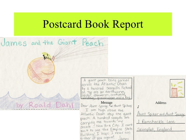 book report project