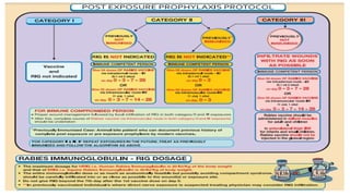 national guidelines on rabies control programe.pptx