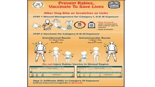 national guidelines on rabies control programe.pptx