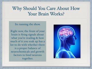 Book Review: Spark the Revolutionary New Science of Exercise and the ...