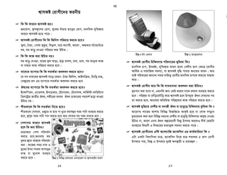 †÷›U ev wis wK wRwbm ?
†÷›U ev wis nj GK ai‡bi AwZ my¶ Zv‡ii ˆZix Kj‡gi wis Gi gZ
†`L‡Z, hv †ejyb w`‡q dzjv‡j i³bvjxi Mv‡q AvU‡K _v‡K|
 