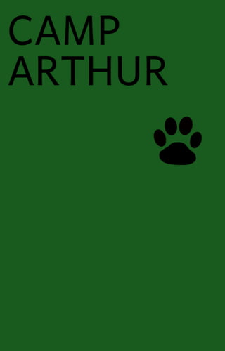 Book Covers for Gizmo, Camp Arthur, and Benny the Hero Books
