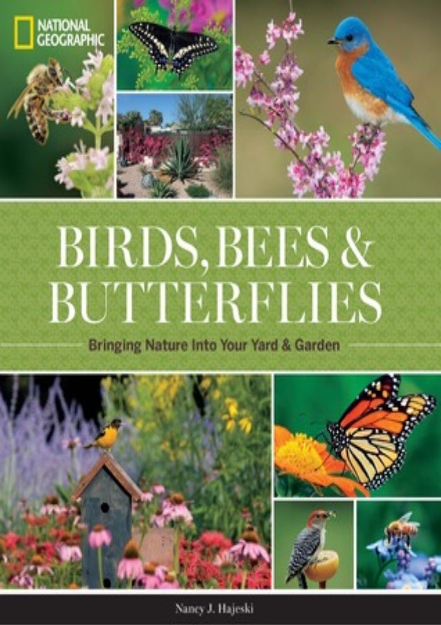 Butterfly Garden Book Synopsis Books Like The Butterfly Garden By Dot