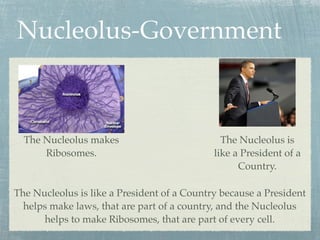 Nucleolus-Government



  The Nucleolus makes                          The Nucleolus is
      Ribosomes.                             like a President of a
                                                   Country.

The Nucleolus is like a President of a Country because a President
  helps make laws, that are part of a country, and the Nucleolus
      helps to make Ribosomes, that are part of every cell.
 
