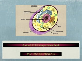 Animal Cell Comparisons Book


   By: Rose Berch
 