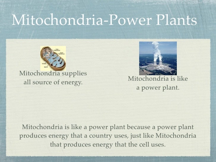mitochondria analogy