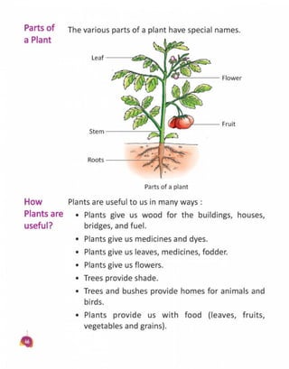 Book science1 CLASS - FIRST