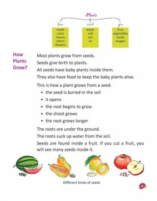 Book science1 CLASS - FIRST