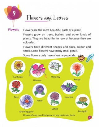 Book science1 CLASS - FIRST