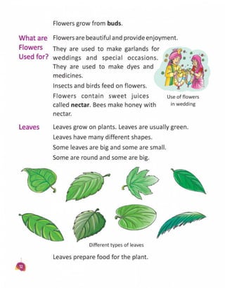 Book science1 CLASS - FIRST