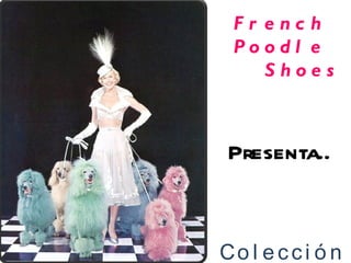 French Poodle Shoes Presenta.. Colección 2011 