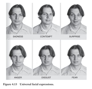 Trim Size: 6in x 9in Morin c04.tex V1 - 07/25/2018 5:59pm Page 103
k
k k
k
APPLYING SIX STIMULI TO PERSUADE THE PRIMAL BRAIN 103
SADNESS
ANGER DISGUST FEAR
CONTEMPT SURPRISE
Figure 4.13 Universal facial expressions.
emotional lift directly impacts the chemical balance of the brain. Stress
or fear may indeed raise levels of noradrenaline, adrenocorticotropic
hormone, and cortisol in the brain and throughout the body. Love and
trust may produce elevated levels of oxytocin; laughter will raise levels
of endorphins; happiness may raise serotonin levels; and anticipation
will boost dopamine. Making your message emotional means using the
power of brain chemicals to make your message more persuasive (see
Figure 4.14).
The Neuroscience of Emotional
For emotional, we tested the following research question: Can you make
the message more persuasive by increasing arousal using negative or positive
valence?
 