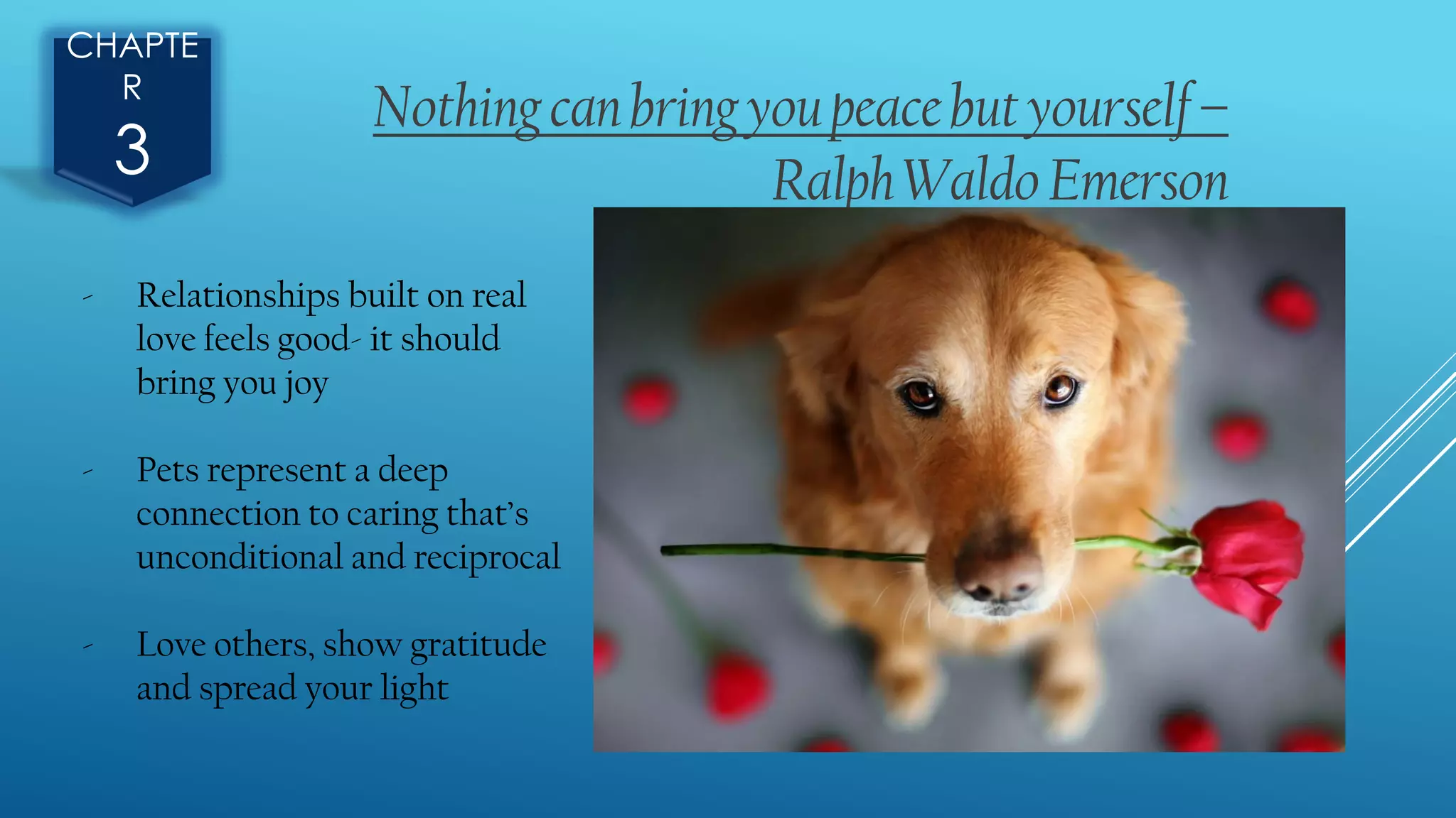 CHAPTE
R
3
Nothingcanbringyoupeacebutyourself–
RalphWaldoEmerson
- Relationships built on real
love feels good- it should
bring you joy
- Pets represent a deep
connection to caring that’s
unconditional and reciprocal
- Love others, show gratitude
and spread your light
 