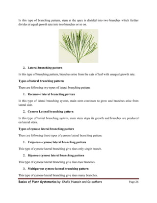 plant systematics and morphological characters of leaves,roots,stem ...