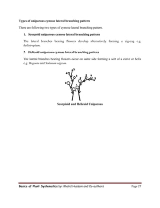 Uniparous plant systematics and morphological characters of leaves,roots,stem ...