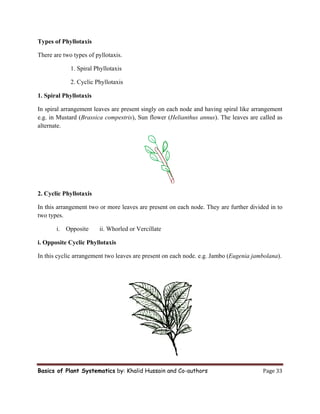 Spirocyclic Flower plant systematics and morphological characters of leaves,roots,stem ...