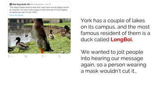 We wanted to jolt people
into hearing our message
again, so a person wearing
a mask wouldn’t cut it…
York has a couple of lakes
on its campus, and the most
famous resident of them is a
duck called LongBoi.
 