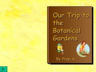 Our Trip to the Botanical Gardens By Prep A 