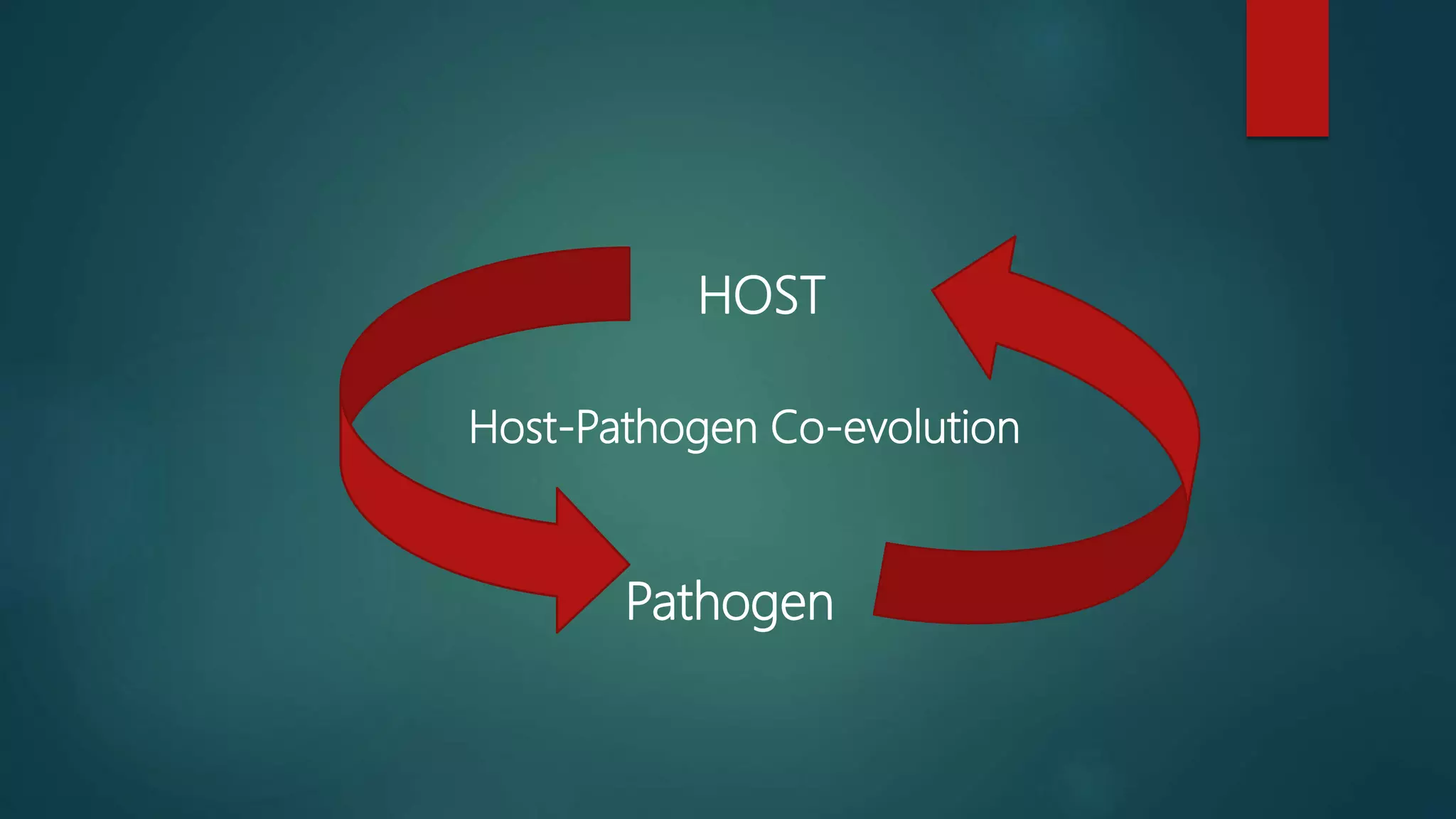 Boom bust cycle | PPTX