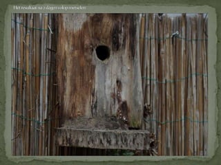 Boomklever powerpoint