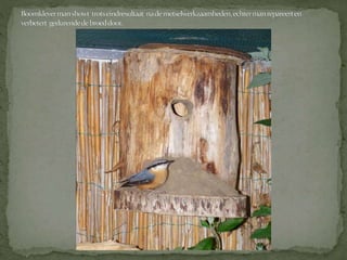 Boomklever powerpoint