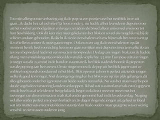 Boomklever powerpoint