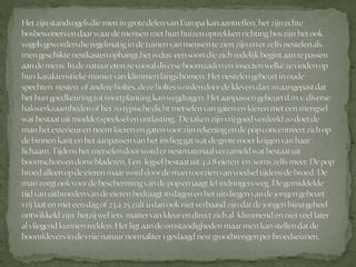 Boomklever powerpoint