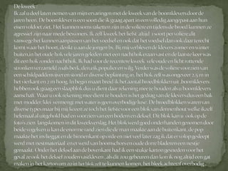 Boomklever powerpoint