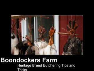 Boondockers Farm
    Heritage Breed Butchering Tips and
 