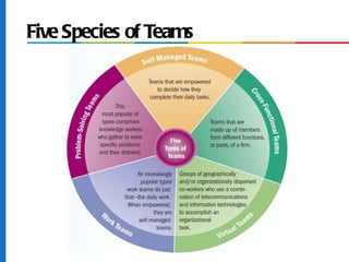 Five Species of Teams
 