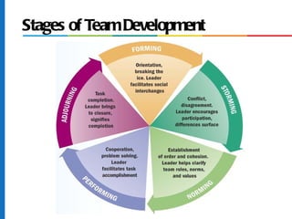 Stages of Team Development
 