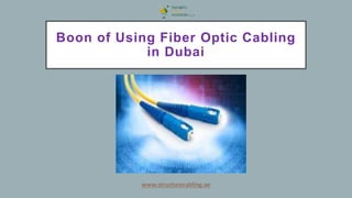 Boon of Using Fiber Optic Cabling
in Dubai
 