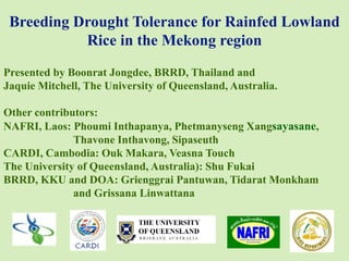 Breeding Drought Tolerance for Rainfed Lowland
Rice in the Mekong region
Presented by Boonrat Jongdee, BRRD, Thailand and
Jaquie Mitchell, The University of Queensland, Australia.
Other contributors:
NAFRI, Laos: Phoumi Inthapanya, Phetmanyseng Xangsayasane,
Thavone Inthavong, Sipaseuth
CARDI, Cambodia: Ouk Makara, Veasna Touch
The University of Queensland, Australia): Shu Fukai
BRRD, KKU and DOA: Grienggrai Pantuwan, Tidarat Monkham
and Grissana Linwattana
 